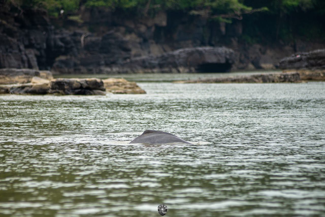 Turismo de Naturaleza en la Amazonia.