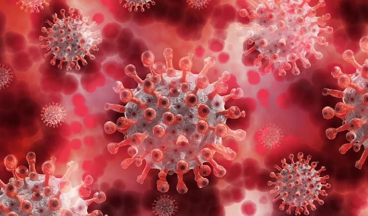 Baba Vanga predijo que llegará otro virus letal en 2022