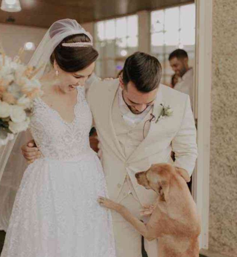 Perrito adoptado por una pareja el día de su boda
