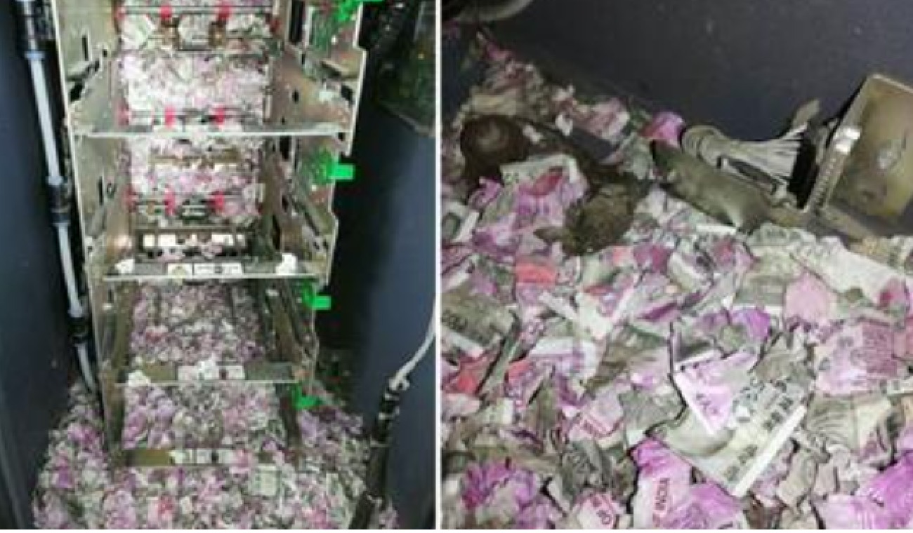 Roedor entró a un cajero y se comió unos biletes