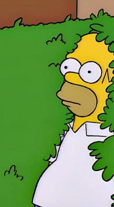 Homero Simpson