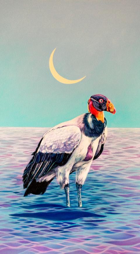 Exposición