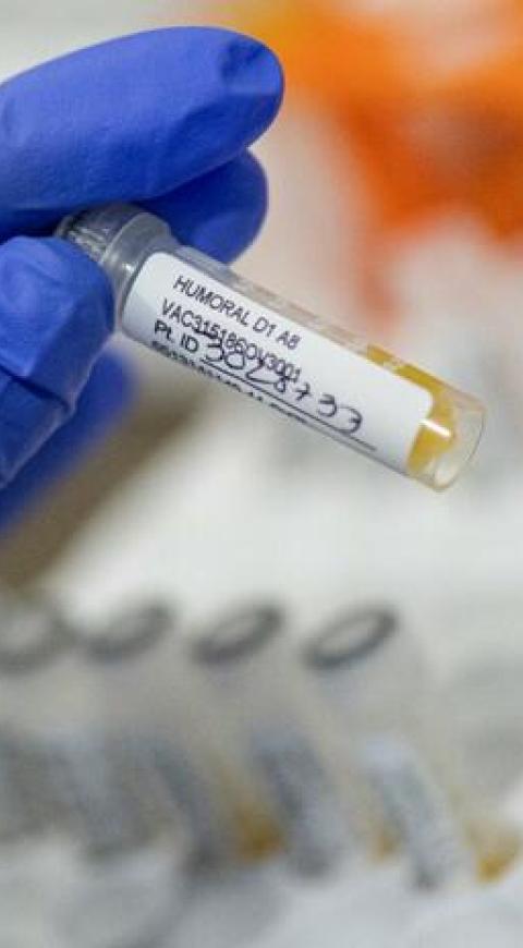 Las vacunas contra el coronavirus se aplicarían a todos los habitantes de Barrancabermeja