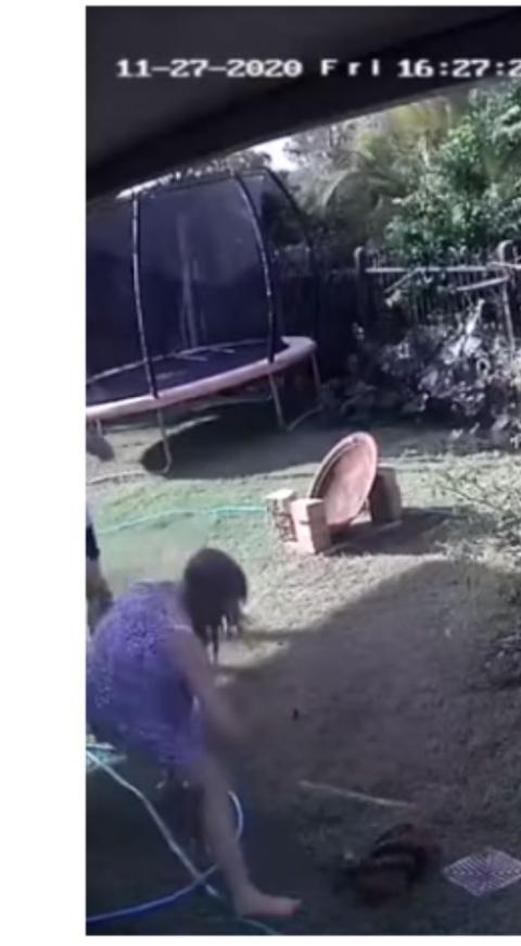 La lucha de una mujer con una pitón para salvar a su perro
