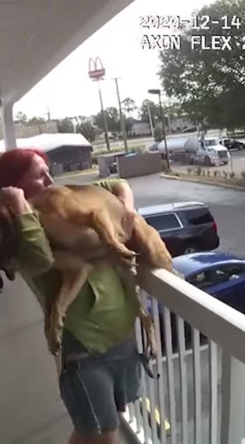 Mujer lanza perrita