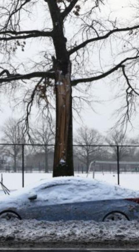 Nevada en Nueva York
