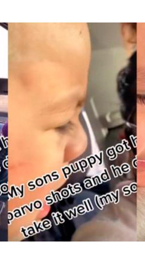 Niño llora luego de que su pequeño perro ladrara tras ser vacunado
