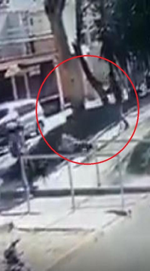 Hombre que golpeó a un perro terminó golpeado en el rostro en Perú