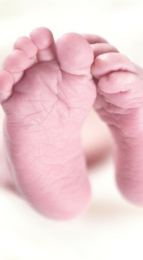 Bebés