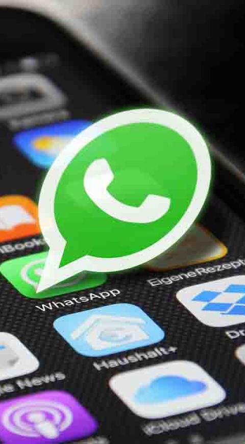 WhatsApp:ahora puede reaccionar con cualquier emoji WhatsApp:ahora puede reaccionar con cualquier emoji