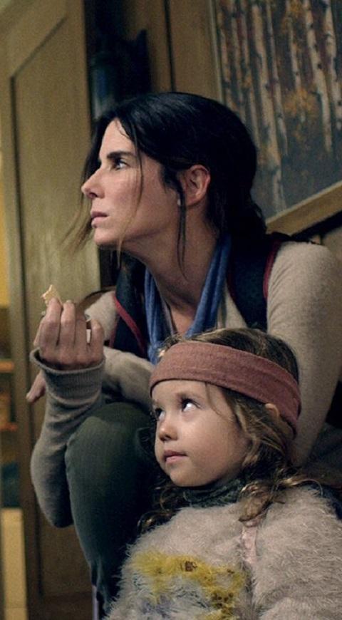 Bird Box