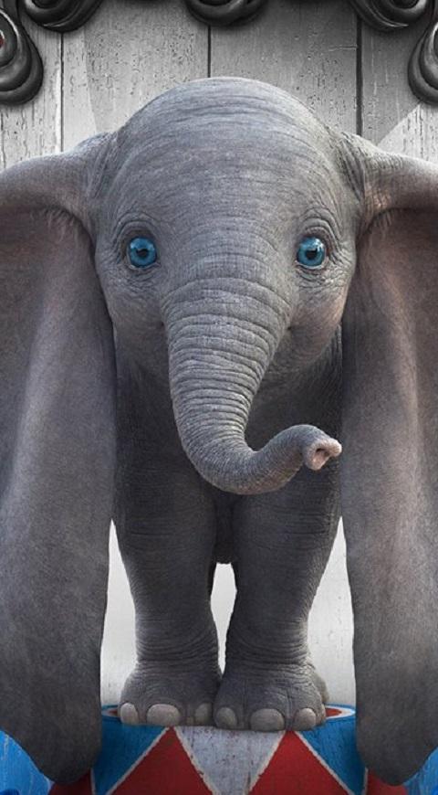 Dumbo