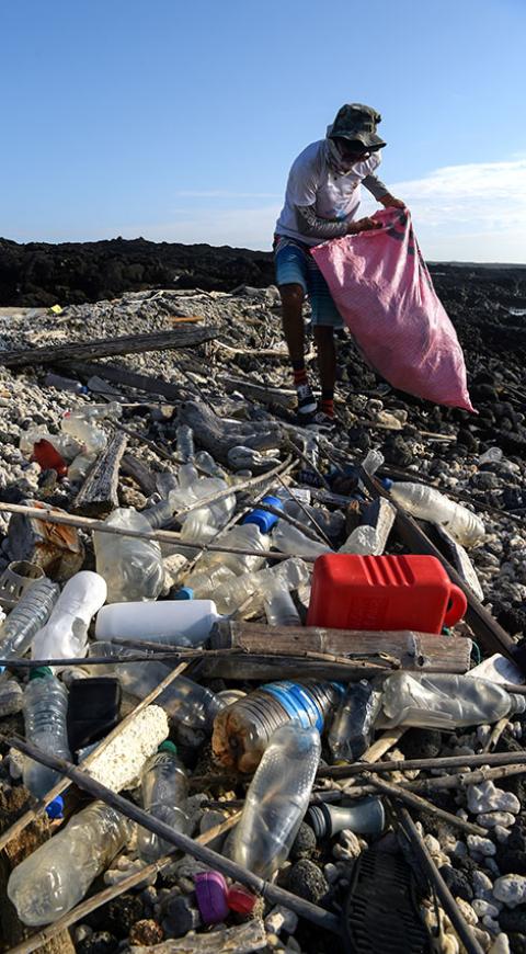 Plástico amenaza la vida en Galápagos