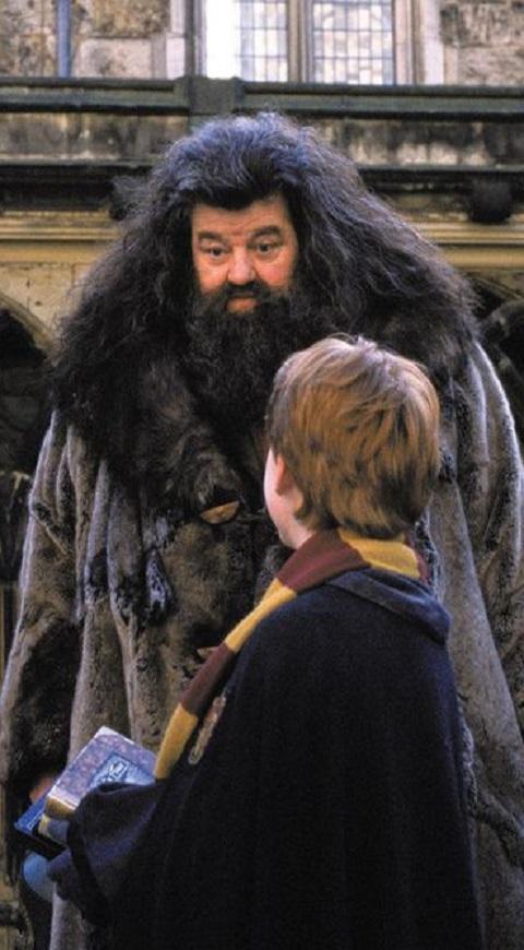 Harry Potter