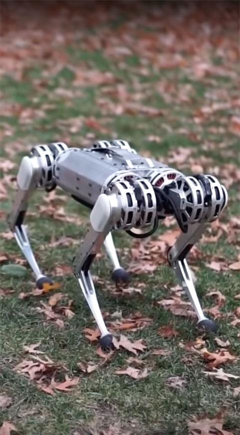 Mini Cheetah, el robot acróbata
