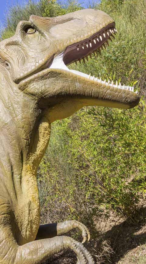 Tyrannosaurus Rex