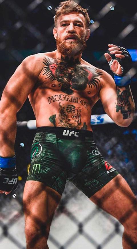 Conor McGregor en la jaula