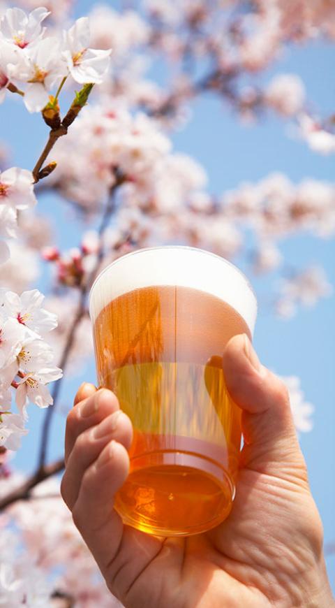 Vaso de cerveza