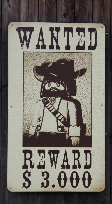 Cartel con Mira y Laguna desaparecidos
