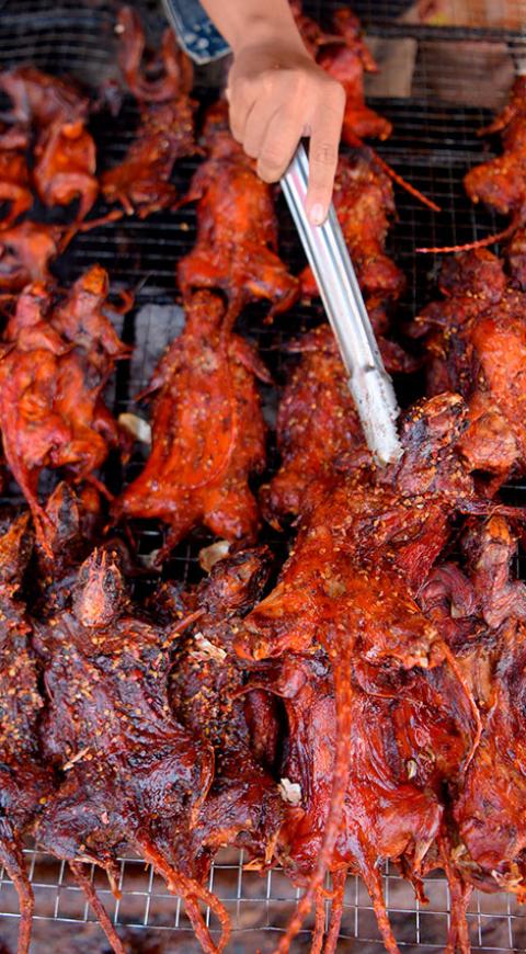 Pincho con carne de rata