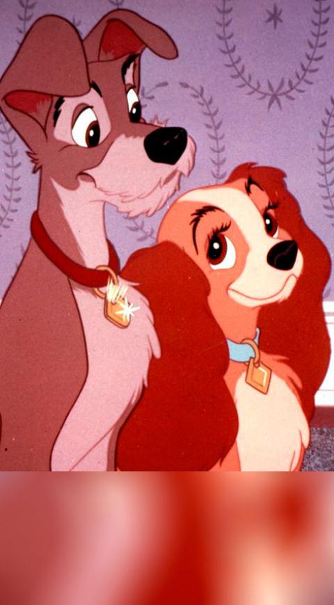 Protagonistas de La dama y el vagabundo