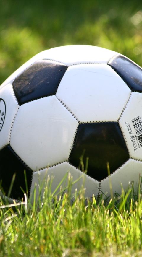 futbol