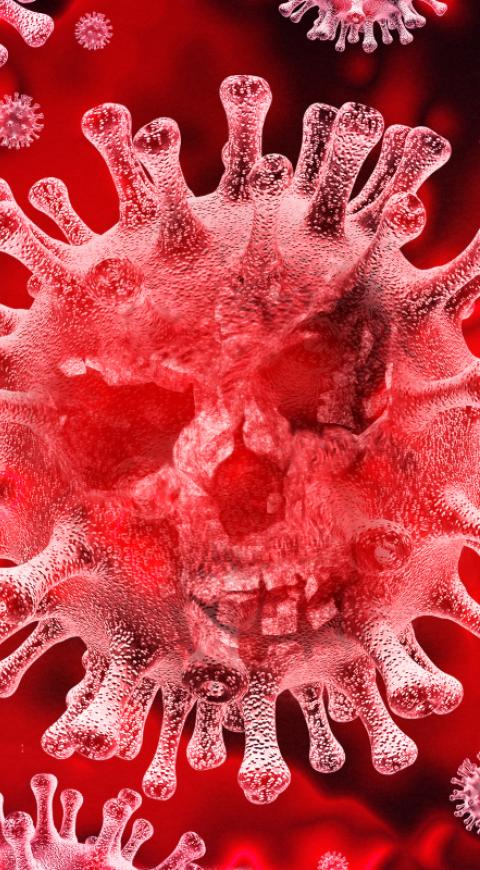 Coronavirus