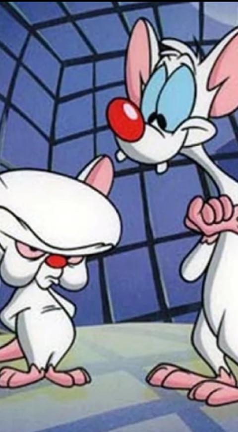 Pinky y Cerebro