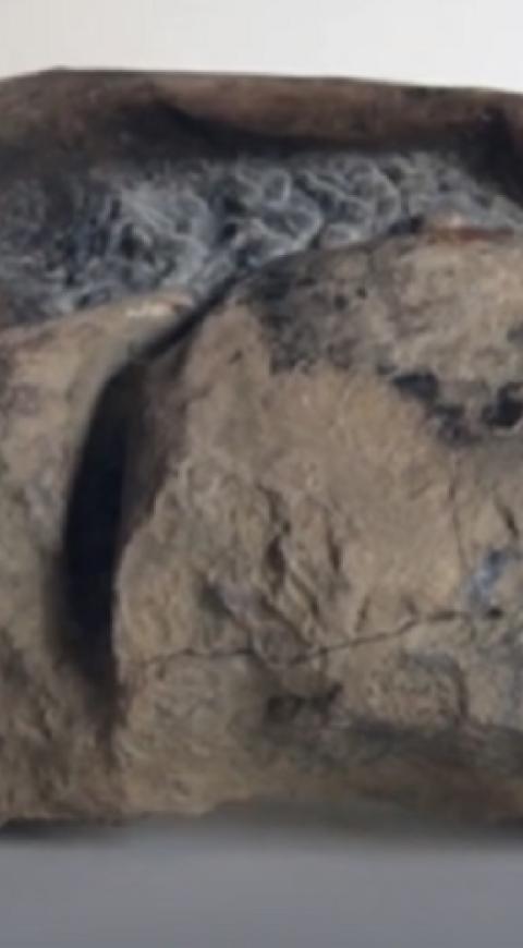 Misterioso fósil hallado en la Antártica es un huevo prehistórico gigante