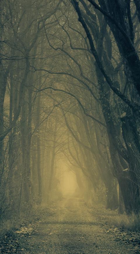 Parálisis del sueño y bosque en El Cartel Paranormal - Agosto 19