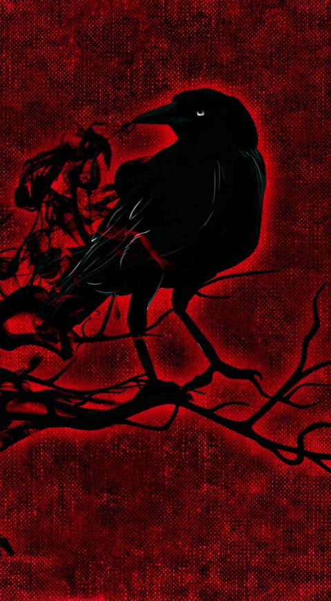 Historias y entrevista a bruja en El Cartel - Octubre 8