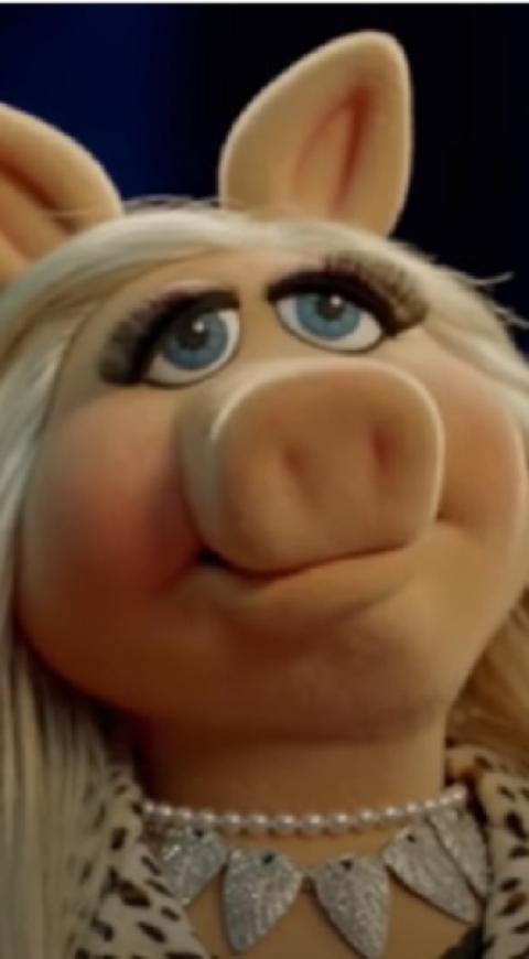 Muppets Now