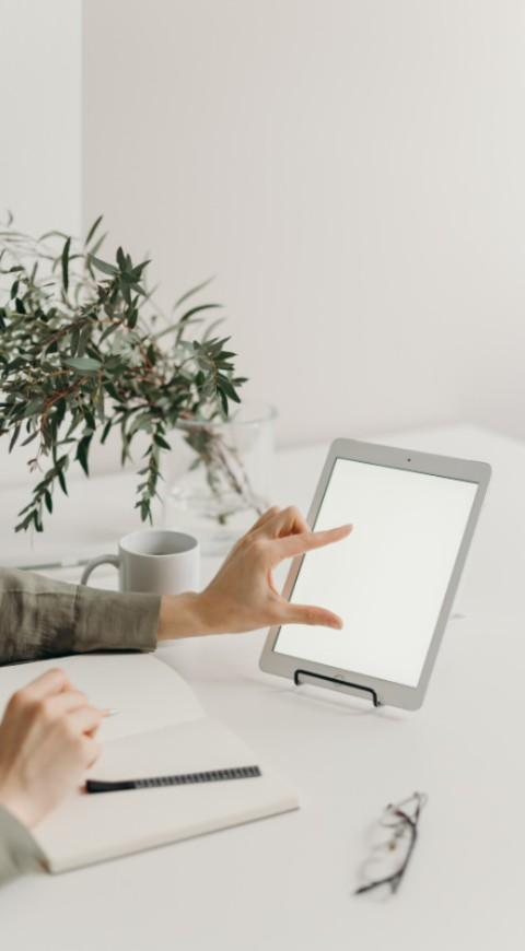 Crean app para ayudar a buscar empleo