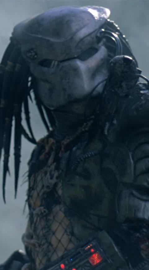 Predator