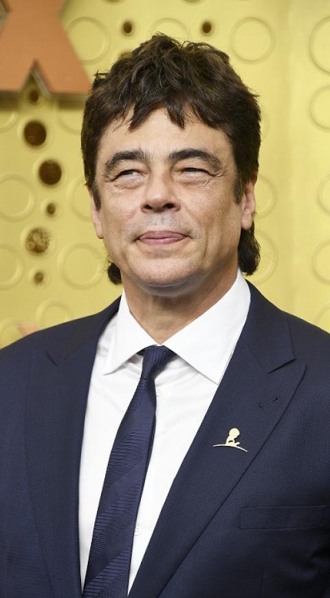 Benicio del Toro