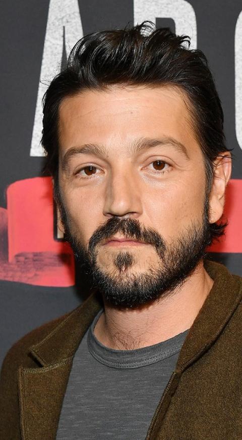 Diego Luna vertical