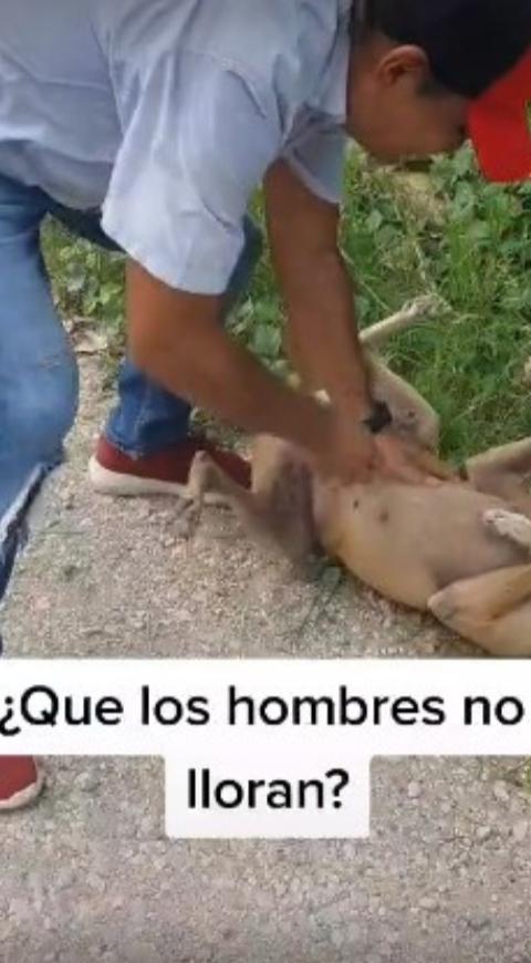 Reencuentro de hombre con su mascota