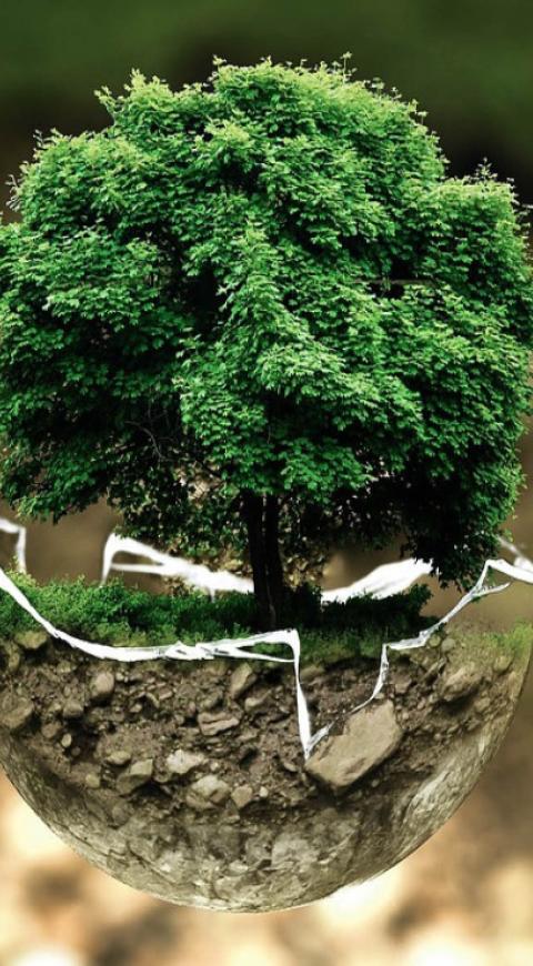 medio ambiente