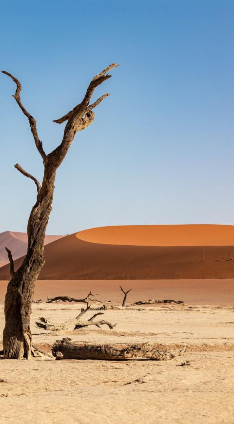 Misterios de los desiertos en El Cartel Paranormal - Diciembre 9