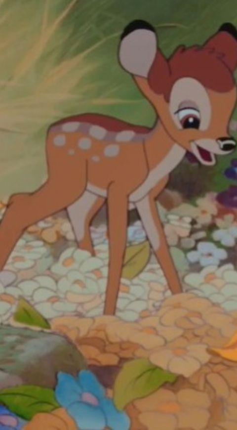 Bambi Bambi