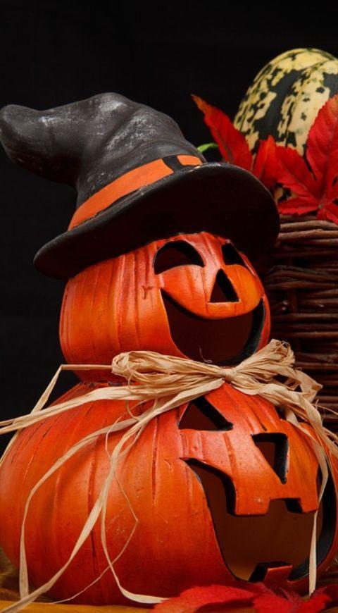 Halloween Halloween