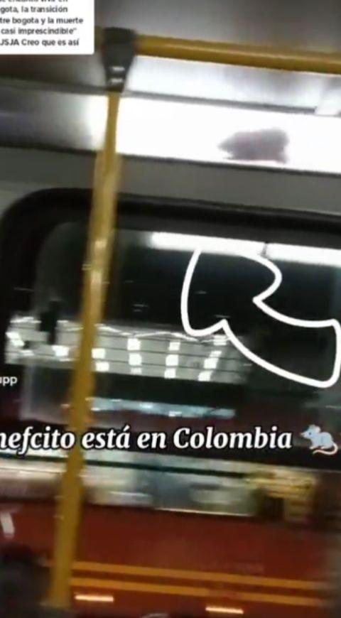 Rata en Transmilenio Rata en Transmilenio