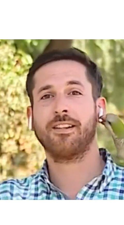 Loro roba a periodista en transmisión en vivo Loro roba a periodista en transmisión en vivo