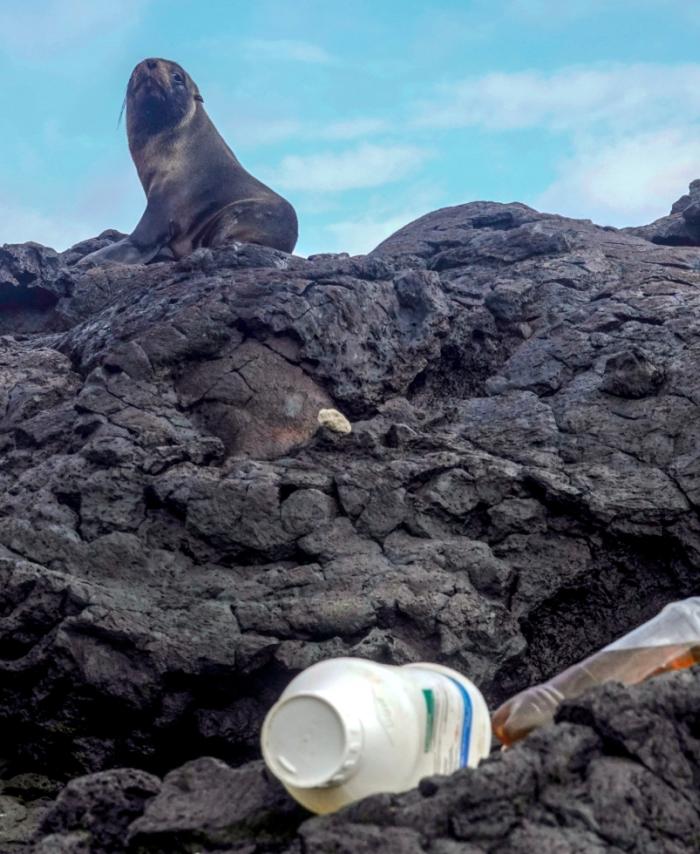 Isla Galápagos
