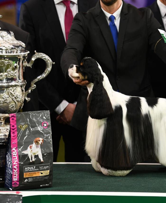 Crufts 2019