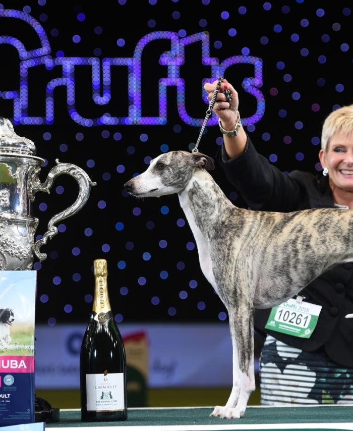 Crufts 2019