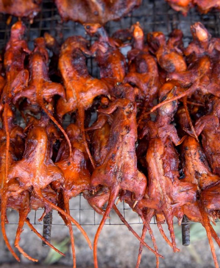 Pincho de rata
