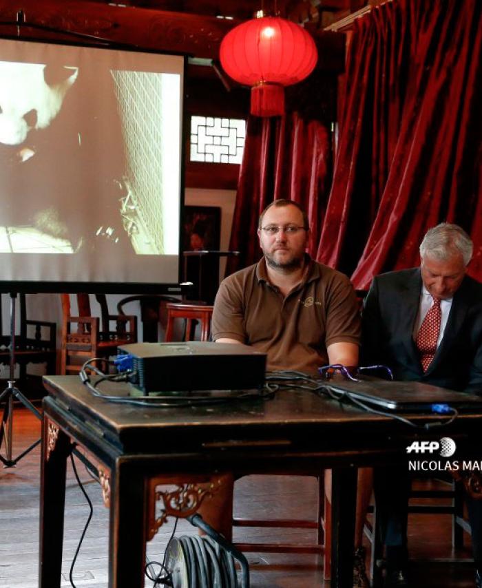 Nacen dos pandas gigantes gemelos en Bélgica