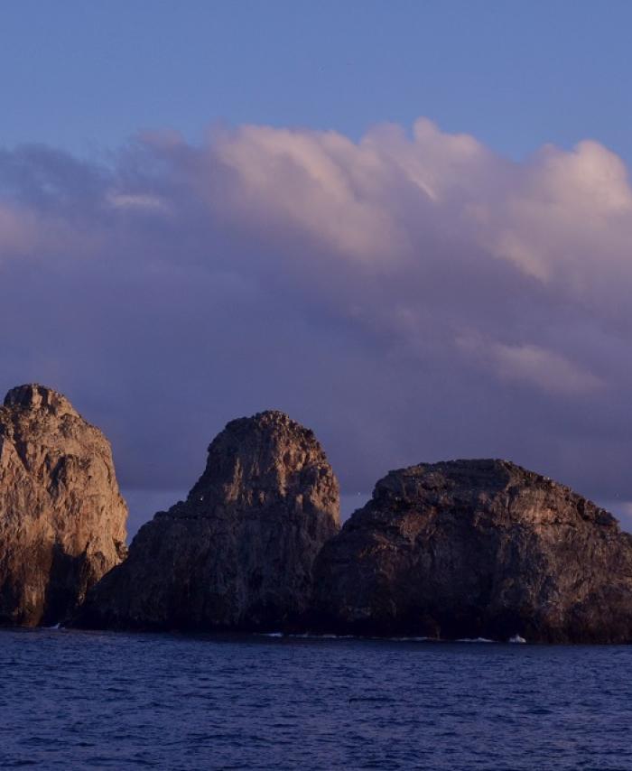 Santuario de Fauna y Flora Malpelo.