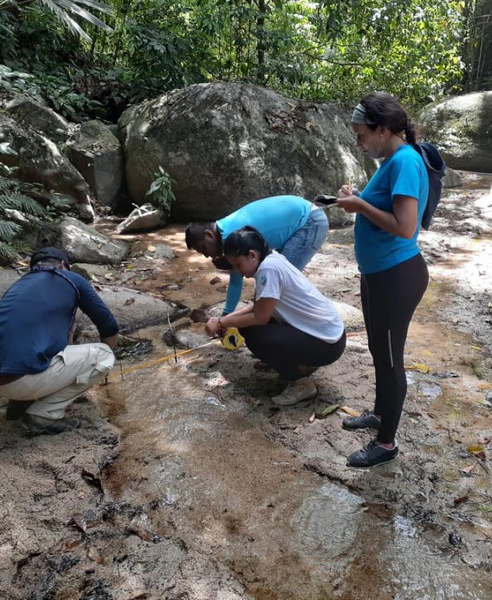 Avistamiento Parque Tayrona